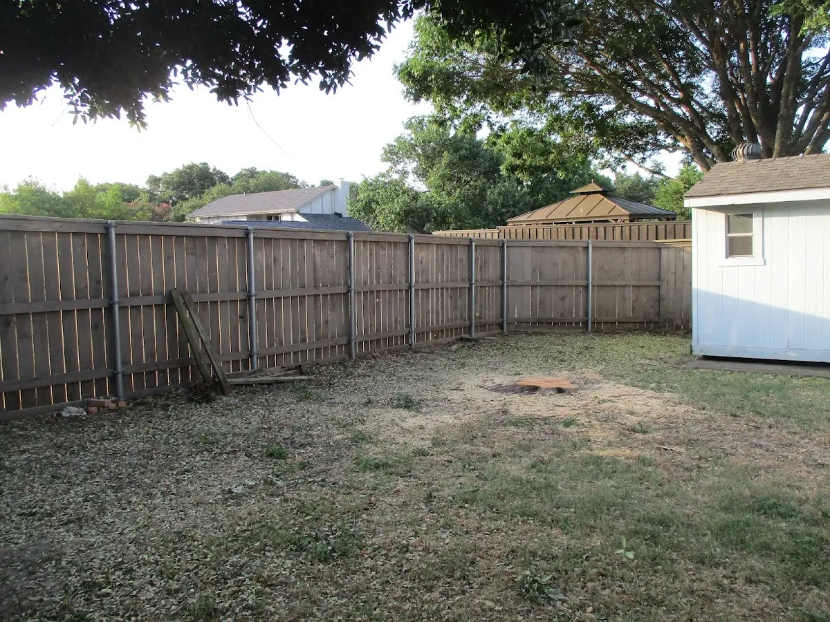 Cleared yard after professional tree removal in Huntington Beach